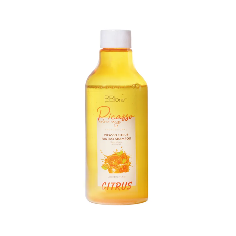 BB ONE, Шампунь для волос Citrus Fantasy Shampoo Picasso Home Care Repair, 300 мл.