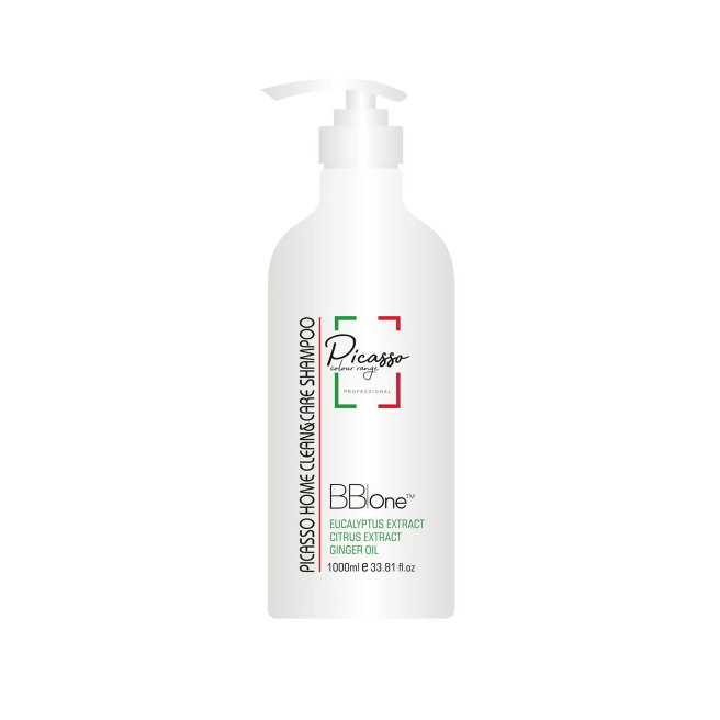 BB ONE, Шампунь для всех типов кожи головы и волос Picasso Clean & Care Shampoo Home Care Repair, 1000 мл.