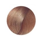 Стойкая крем-краска для волос AAA Hair Cream Colorant 9/00, 100 мл.
